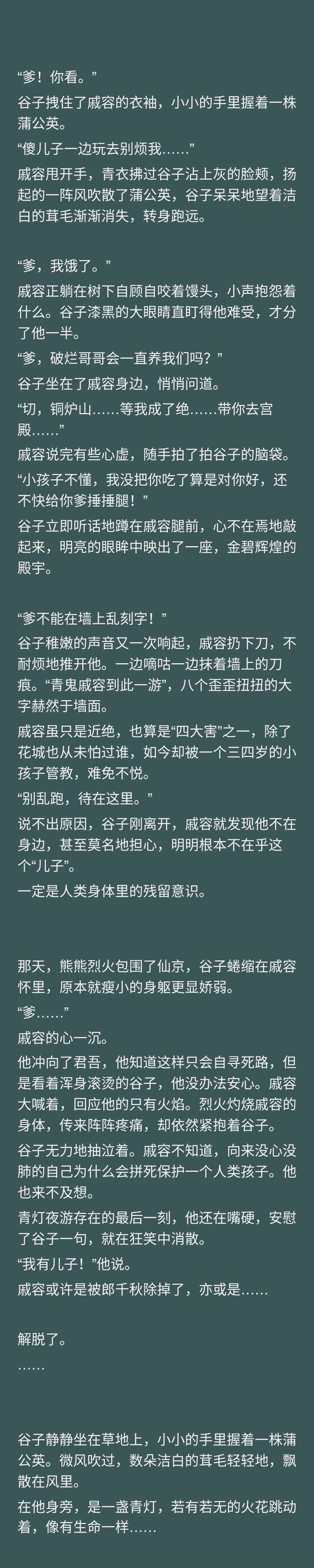 世人只知道花城为谢怜明灯三千