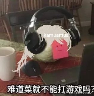 描图meme梗图