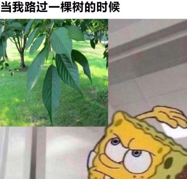人间真实5
