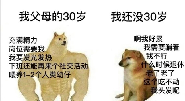 来自合集:人间真实系列著作权归作者本人所有