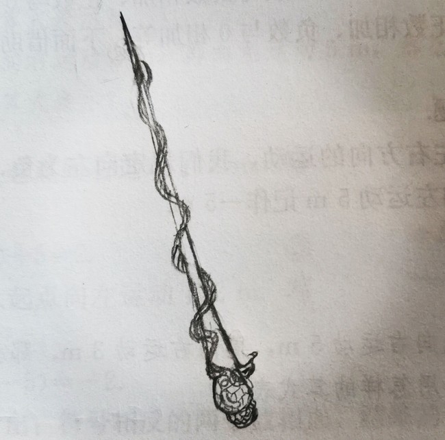 麦克米兰的魔杖:接骨木,以凤凰羽毛为杖芯,… - 半次元 - acg爱好者