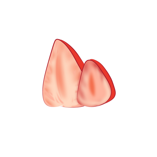 草莓 半次元 Acg爱好者社区