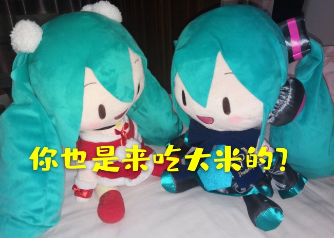 初音fufu表情包