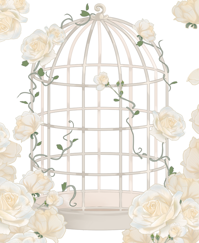 免费背景 素材 白蔷薇 鸟笼的任意组合 依 半次元 Acg爱好者社区