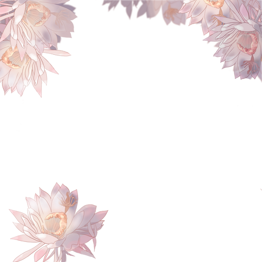 昙花 半次元 Acg爱好者社区