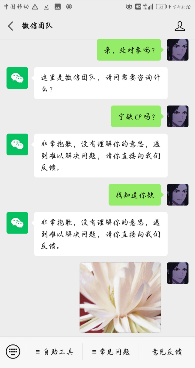 如何激怒微信团队 祁言醉语 半次元 Acg爱好者社区