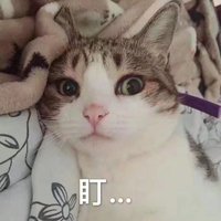 话说漫展约妆都是哪里画的