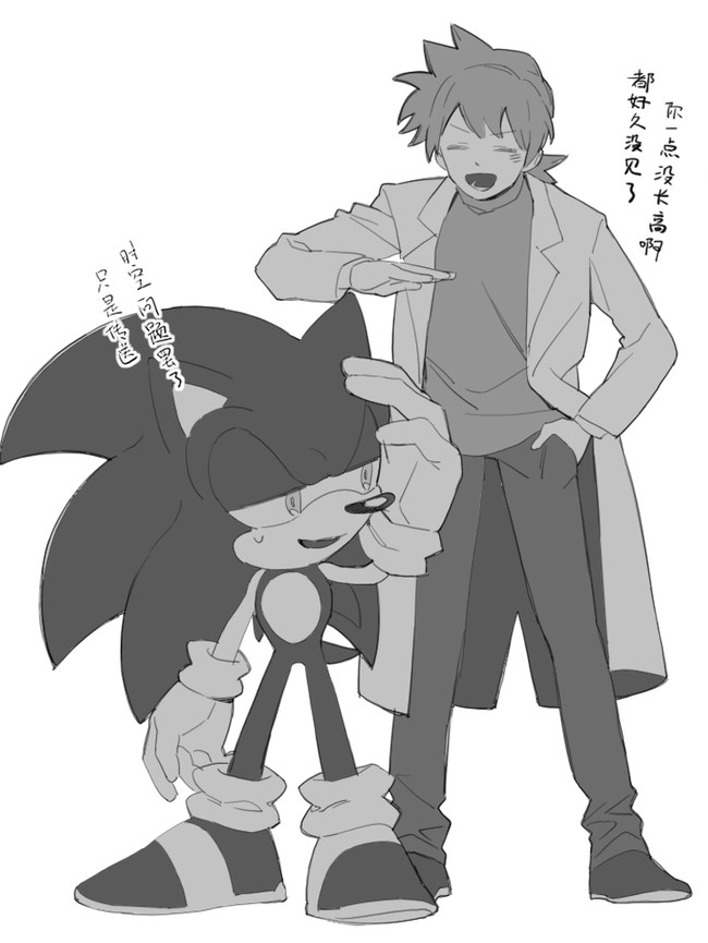 我对青黑黑青一心一意,但索尼克×克里斯这对… - 半次元 - acg爱好者