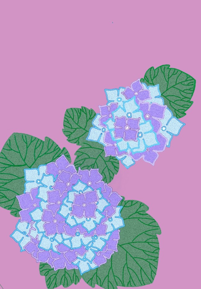 女式和服上的紫阳花刺绣纤纤玉手巧轻柔 六 半次元 Acg爱好者社区